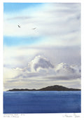 Pygargues sur Kvitsøy