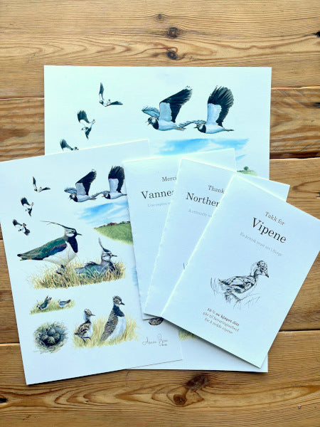 PRE-ORDER - Saving the Lapwing