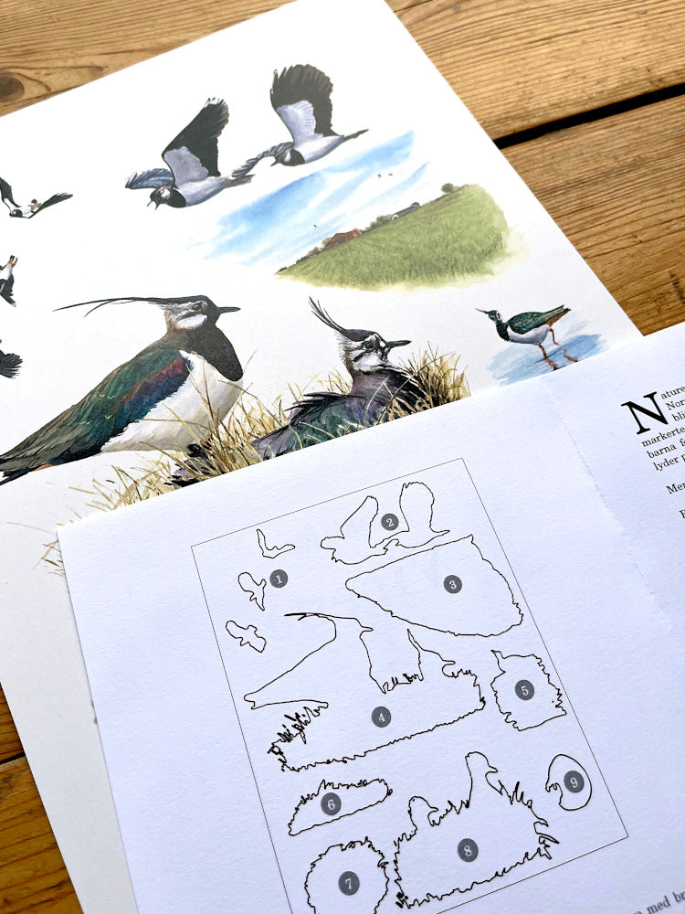 Saving the Lapwing