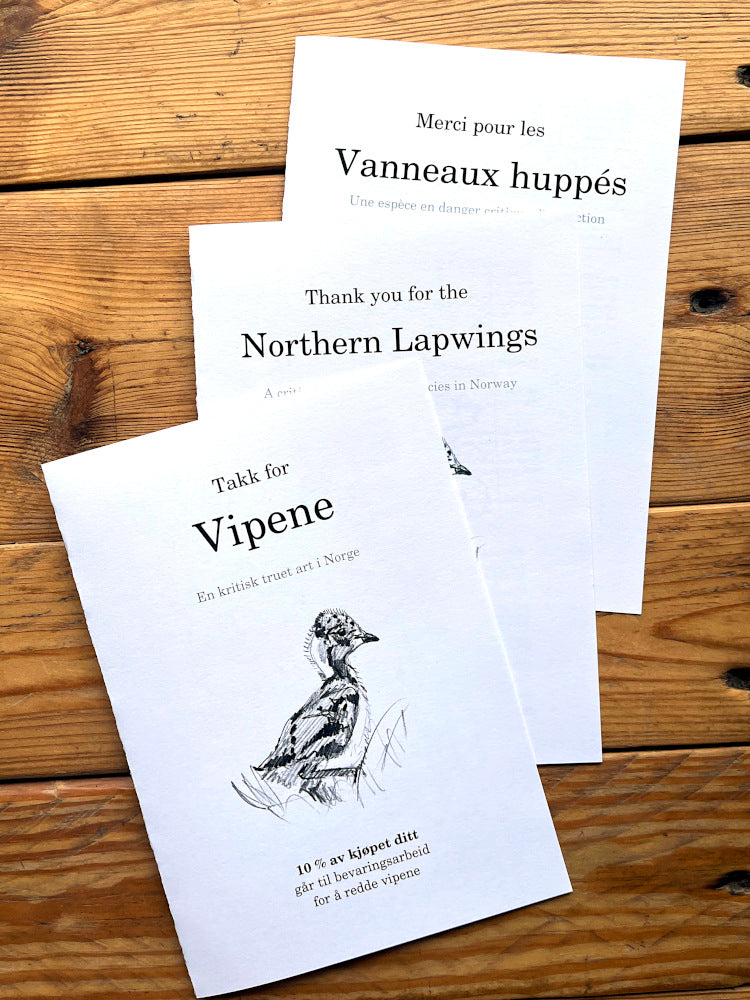 Saving the Lapwing