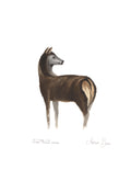 Jeune cerf