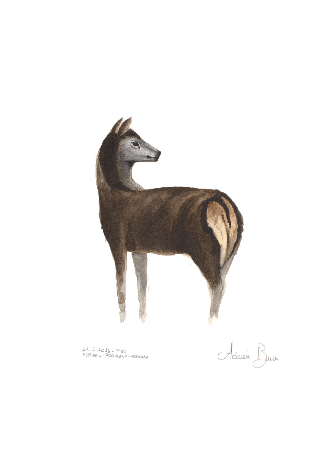 Jeune cerf