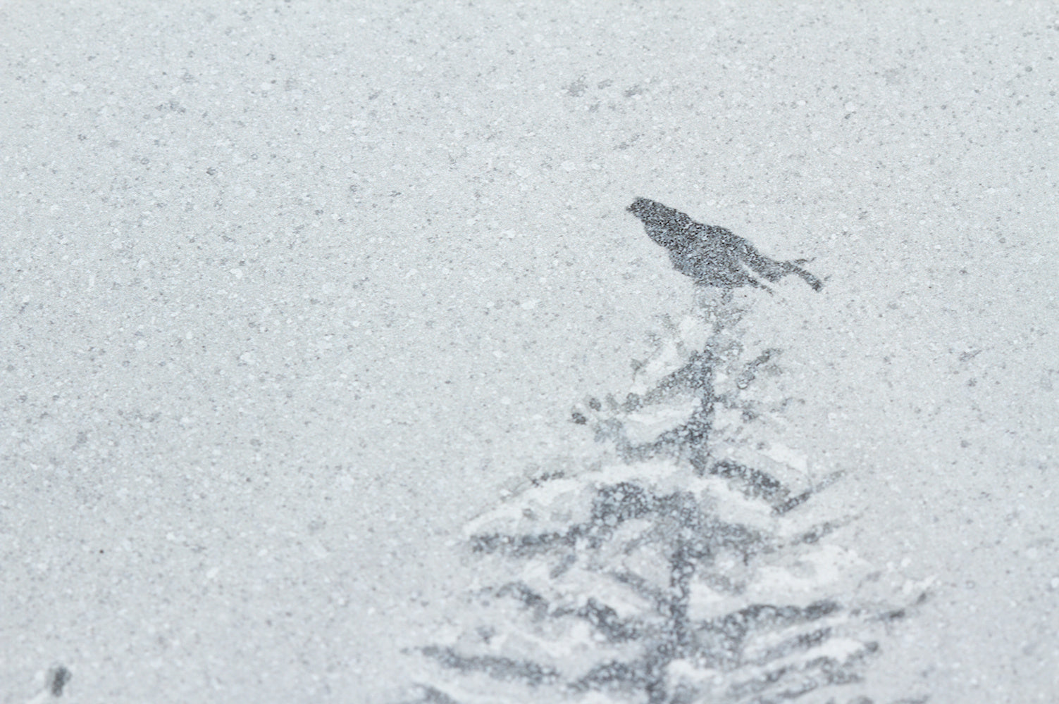 Croire encore au printemps