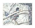 Trop de neige pour danser