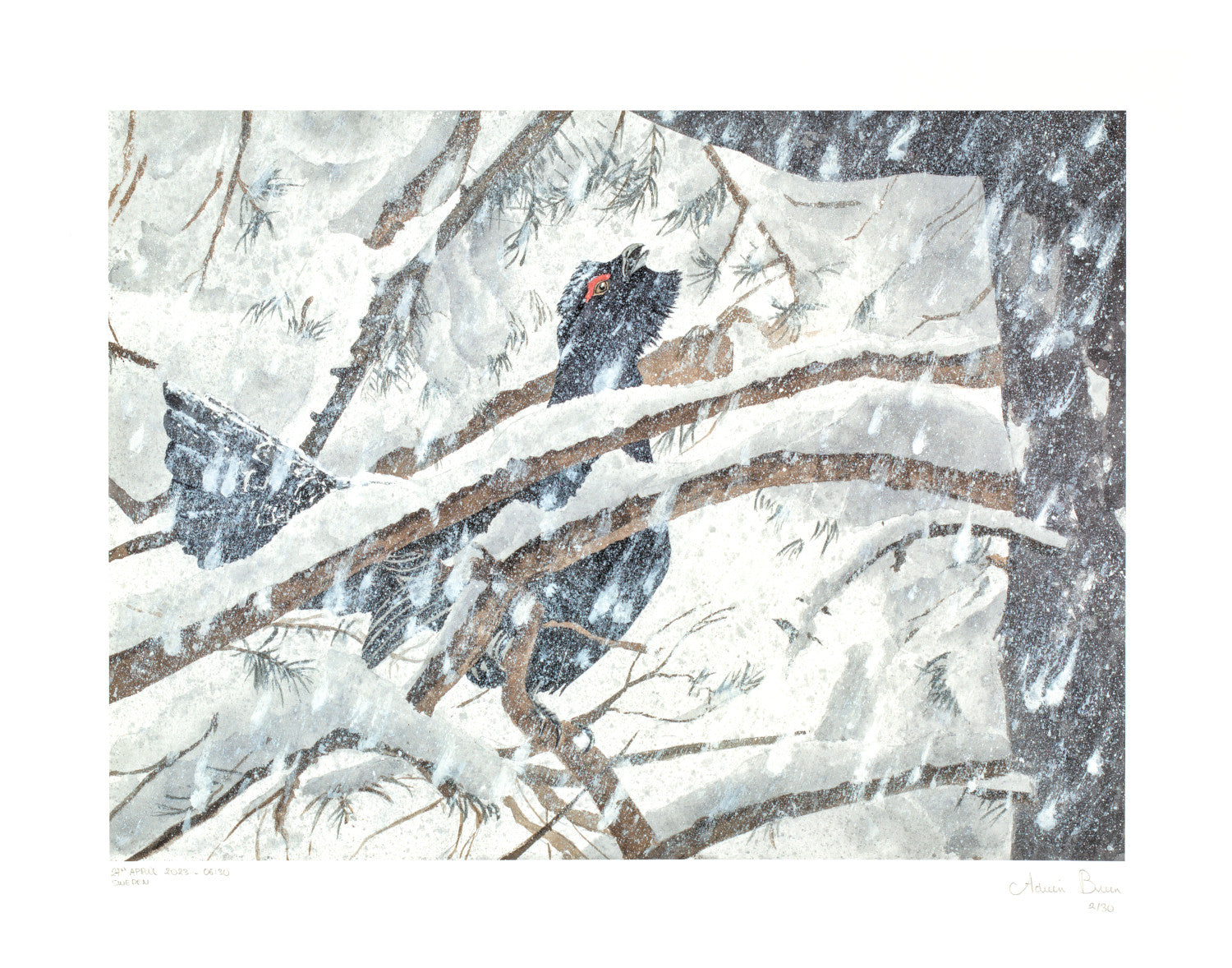 Trop de neige pour danser