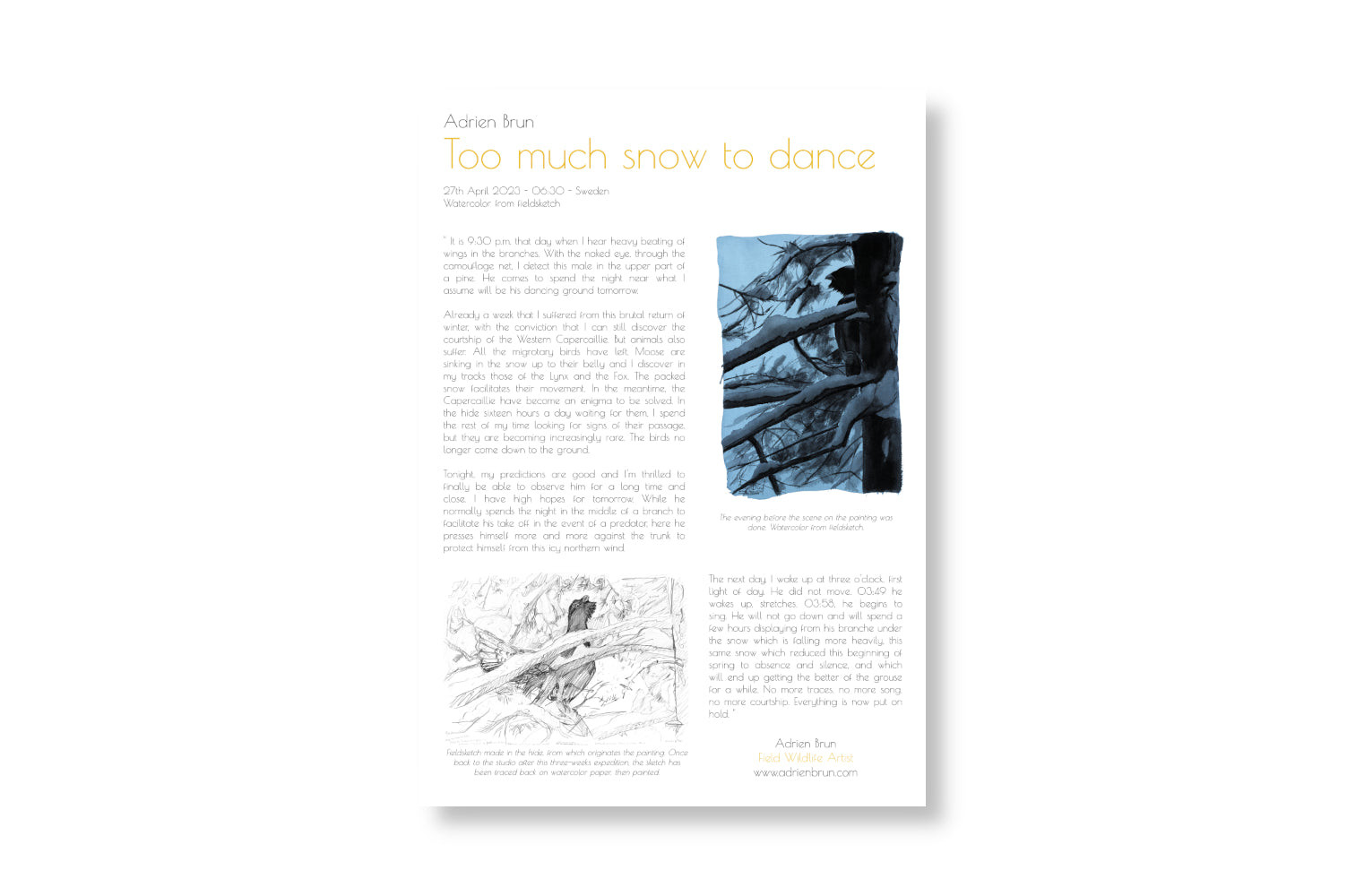 Trop de neige pour danser